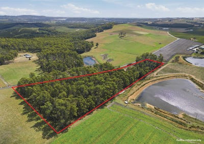 /international/au/-native-plains-road-sassafras-tas-700400568/