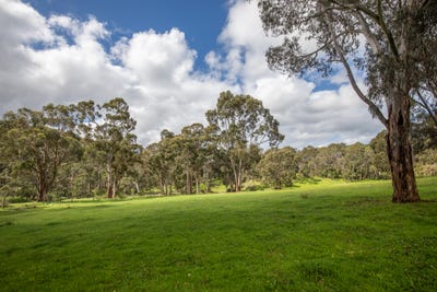 /international/au/lot-9-scott-creek-road-scott-creek-sa-204677856/