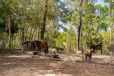 /international/au/92-grievson-road-koah-qld-152646644/