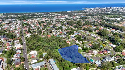 /international/au/42-bassett-street-fairy-meadow-nsw-150977932/