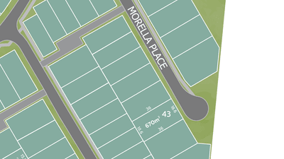 /international/au/lot-43-morella-place-bohle-plains-qld-204334900/