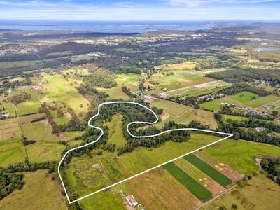 /international/au/55-davenport-lane-jilliby-nsw-204551208/