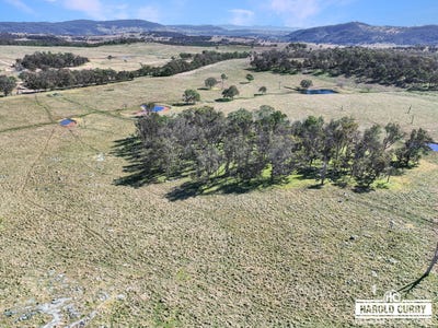 /international/au/lot-25-scrub-road-tenterfield-nsw-700367620/?lang=zh-cn