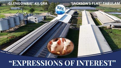 /international/au/12-mason-s-road-kyogle-nsw-700412528/