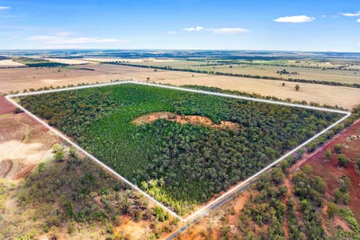 /international/au/680-schlunkes-lane-trungley-hall-nsw-700403216/