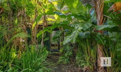 /international/au/10-waropara-road-wyee-nsw-204525244/