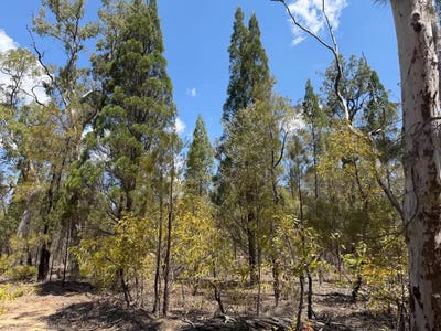 /international/au/50-kimberley-drive-cypress-gardens-qld-700427380/