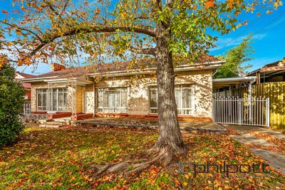 /international/au/22-scott-street-firle-sa-151436220/