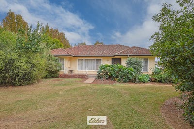 /international/au/1193-karadoc-avenue-irymple-vic-150977280/