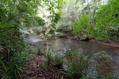 /international/au/1-copland-road-koah-qld-700369256/?lang=es