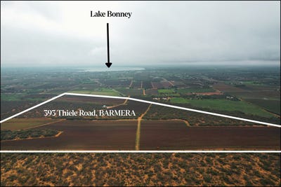 /international/au/393-thiele-road-loveday-sa-700409348/