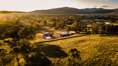 /international/au/-stangard-103-old-hwy-road-blandford-nsw-700405564/
