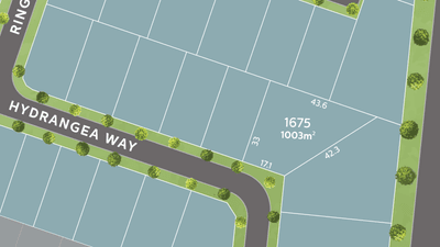 /international/au/lot-1675-hydrangea-way-mount-low-qld-204371936/