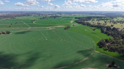 /international/au/buyuma-galmarah-7454-lachlan-valley-way-forbes-nsw-700369536/?lang=es