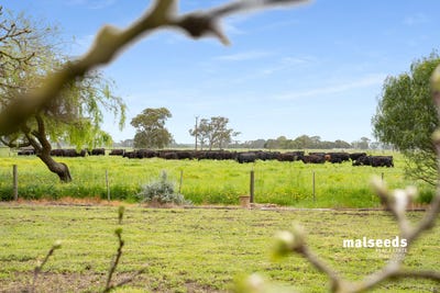 /international/au/mingbool-road-mingbool-sa-700413596/