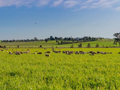 /international/au/upside-farm-104-flowerdale-road-wagga-wagga-nsw-700267188/