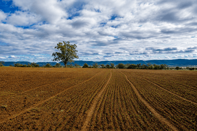 /international/au/823-eulourie-road-bingara-nsw-700404864/