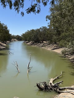 /international/au/-west-wychucca-louth-nsw-700427736/