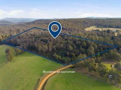 /international/au/new-country-marsh-road-levendale-tas-204548012/