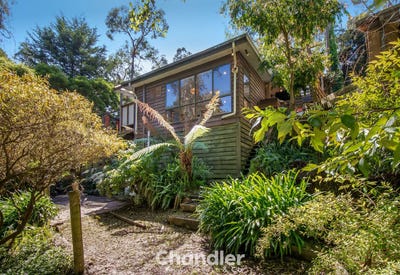 /international/au/8-dalkeith-crescent-belgrave-vic-152596036/
