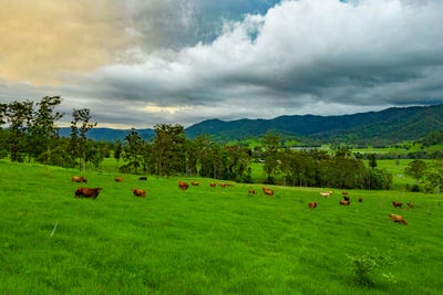 /international/au/cielo-verde-acres-922-eastern-mary-river-road-cambroon-qld-151062392/