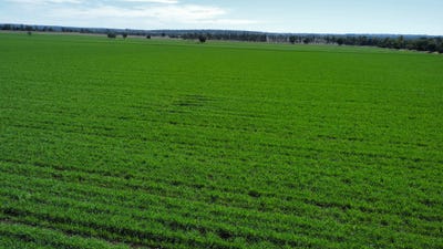 /international/au/115-hewitts-road-jandowae-qld-700369068/?lang=zh-cn