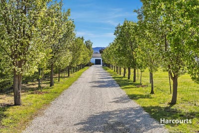 /international/au/7-rotary-place-acton-park-tas-152481868/