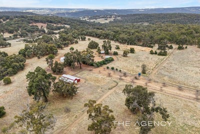 /international/au/41-brumby-chase-morangup-wa-151075700/