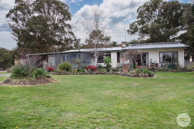 /international/au/69-wild-orchid-road-creswick-vic-151365308/
