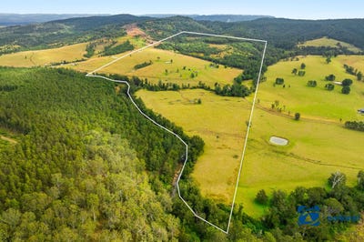 /international/au/408a-farm-road-bonalbo-nsw-700410824/