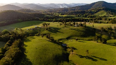 /international/au/226-turnback-road-wherrol-flat-nsw-700426572/