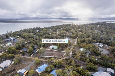 /international/au/3-trout-crescent-miena-tas-204565520/