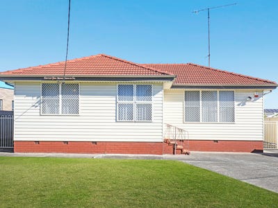 /international/au/20-mccabe-street-warilla-nsw-148637848/?lang=zh-cn