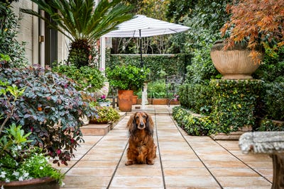 /international/au/1-64-irving-road-toorak-vic-151249556/