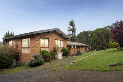 /international/au/335-sandy-creek-road-riddells-creek-vic-152620892/