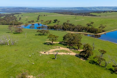/international/au/a22-cole-crossing-road-mount-magnificent-sa-700409324/