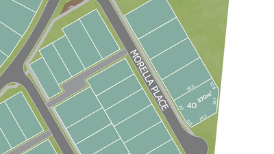 /international/au/lot-40-morella-place-bohle-plains-qld-204334820/