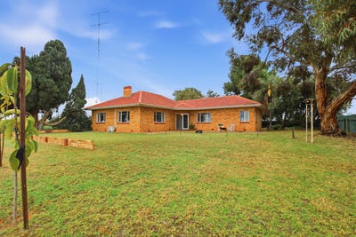 /international/au/17404-sturt-highway-barmera-sa-151646232/