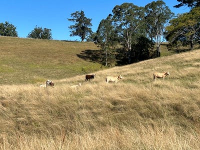 /international/au/lot-25-of-449-hickeys-creek-road-millbank-nsw-700411704/