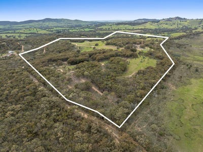 /international/au/260-hardings-lane-tooborac-vic-204682936/