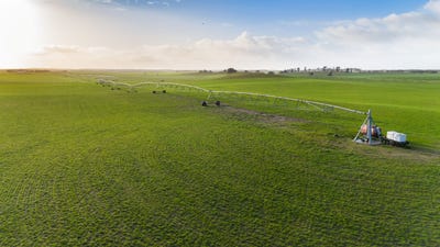 /international/au/394-coombe-road-tintinara-sa-700411988/