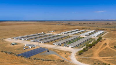 /international/au/18-pareora-road-port-wakefield-sa-700406192/