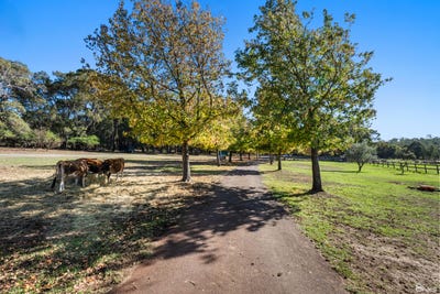 /international/au/69-dmietrieff-road-bedfordale-wa-148538052/?lang=zh-tw