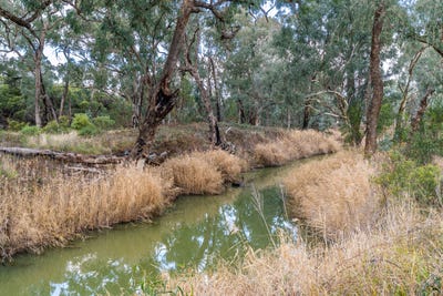 /international/au/1460-baldry-road-baldry-nsw-148530888/