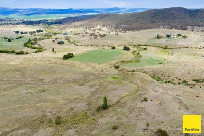 /international/au/1-55-daniel-lane-forbes-creek-nsw-150739168/