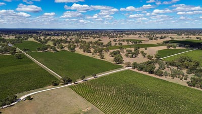 /international/au/2020-v-a-lane-coonawarra-sa-505100180/