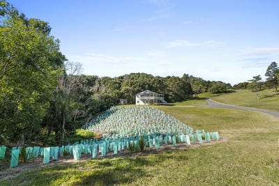 /international/au/37-lillee-court-currumbin-valley-qld-148696060/?lang=es