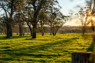 /international/au/50-blencowes-lane-wildes-meadow-nsw-700405936/