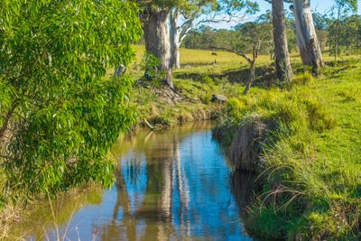 /international/au/1995-armidale-road-willawarrin-nsw-700410656/