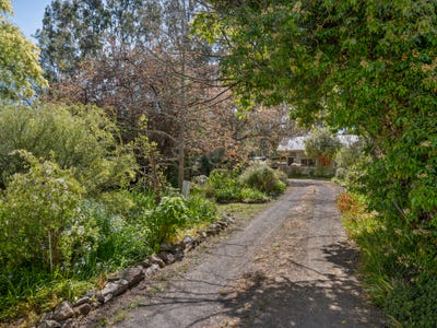 /international/au/3a-pink-street-violet-town-vic-152523180/